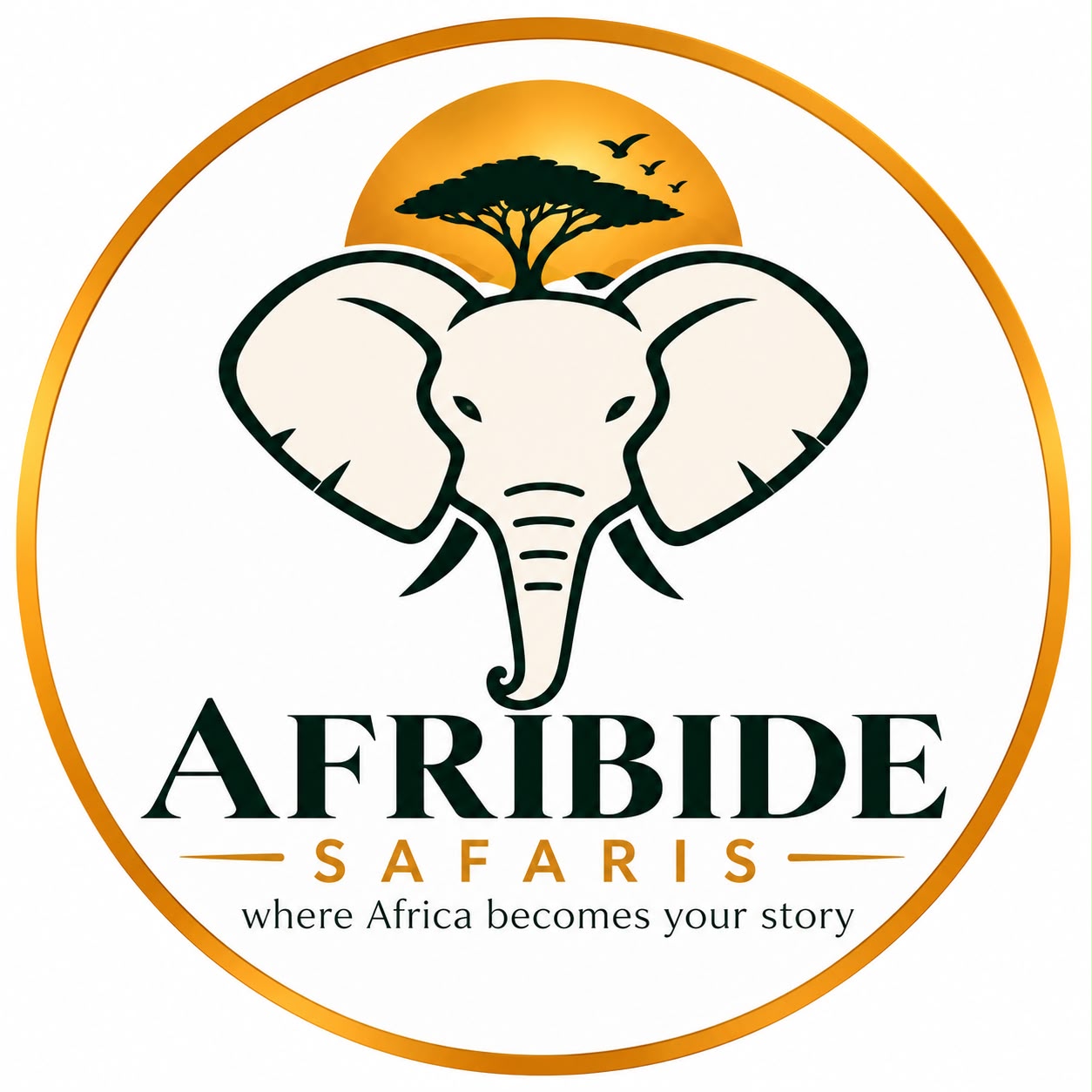 Afribide Safaris Logo